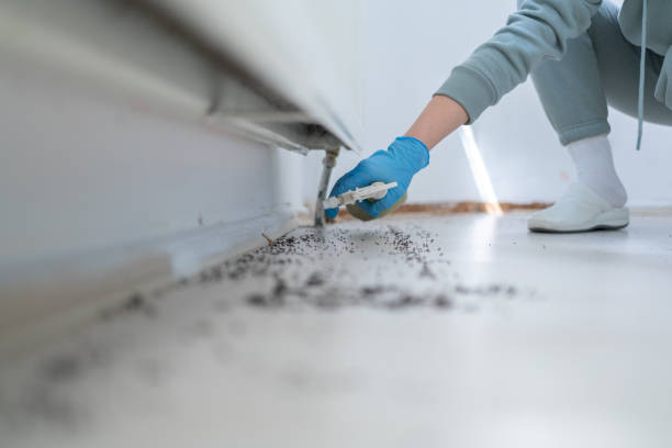 Best Cockroach Control Services  in Barry, IL